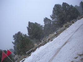 DSCN9529.JPG